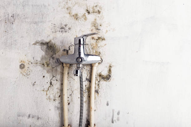 Trusted Navy, VA Mold Remediation Experts